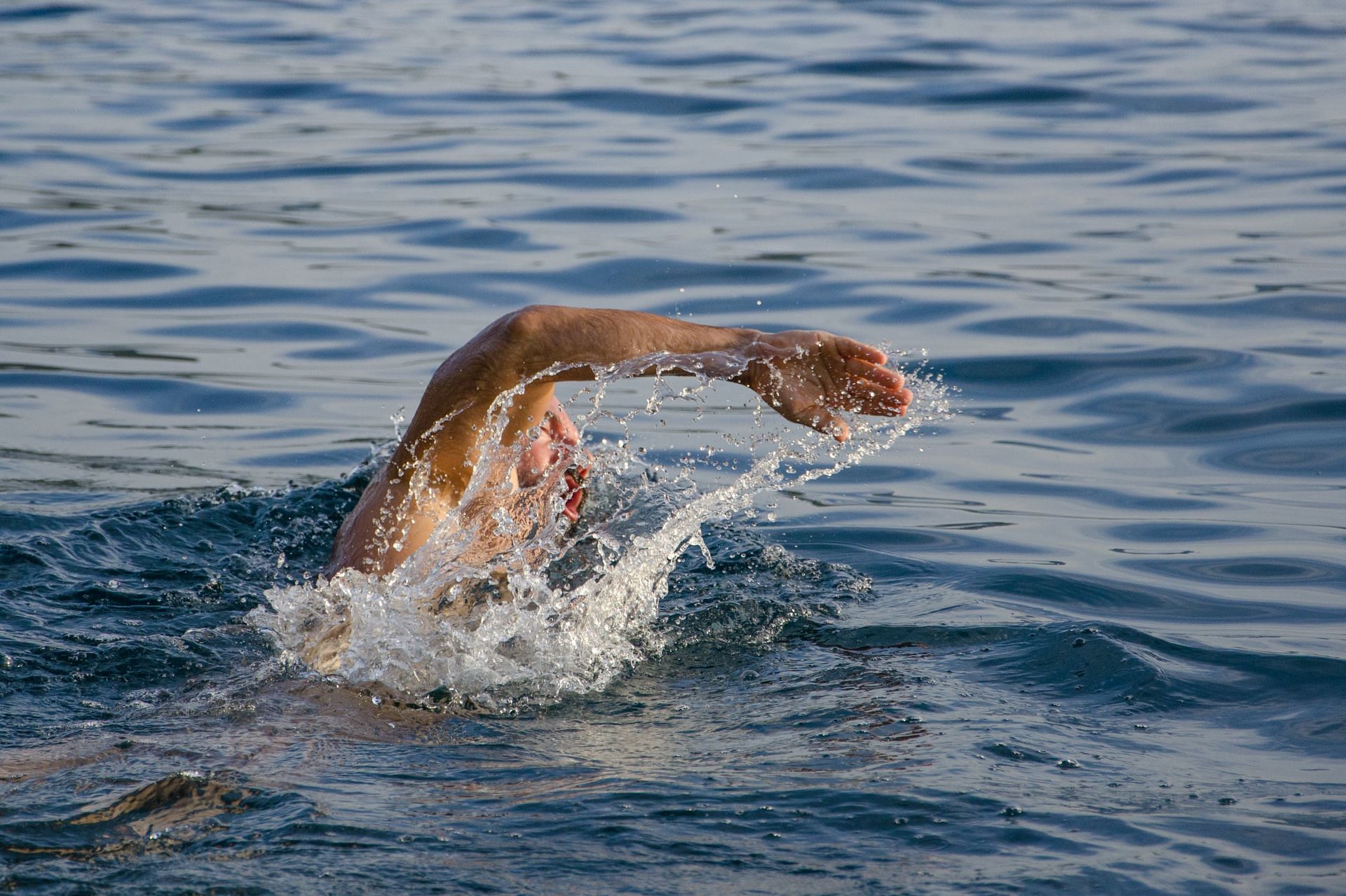 Importance of polar plunges (image sourced via Pexels / Photo by mali)